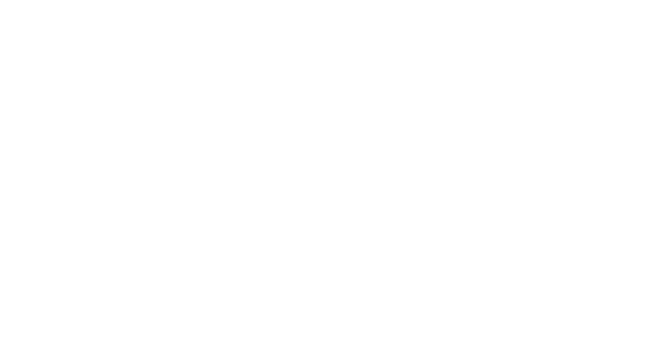 EXEL Alternators & Motors